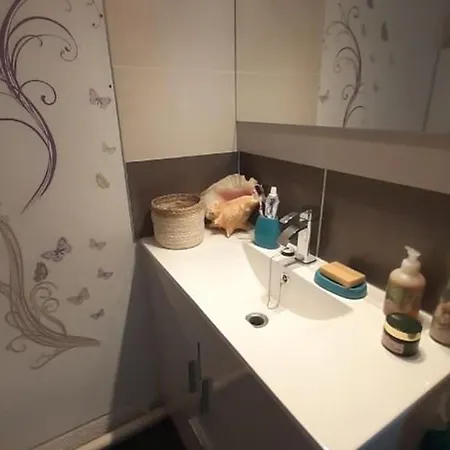 Renove A 150m De La Avec Velos Et Animaux Acceptes - Fr-1-494-199