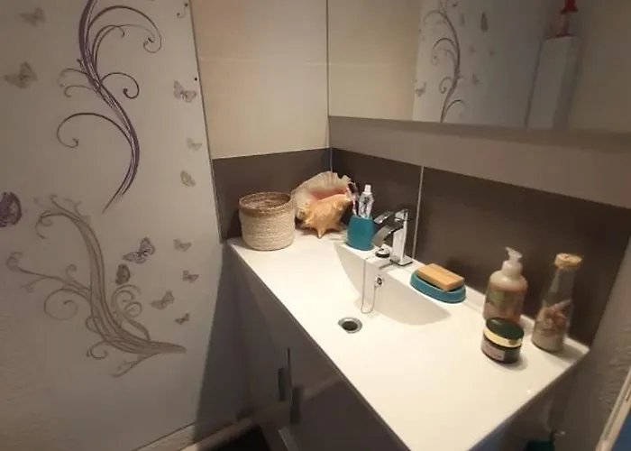 Rénové à 150m De La Avec Vélos Et Animaux Acceptés - Fr-1-494-199