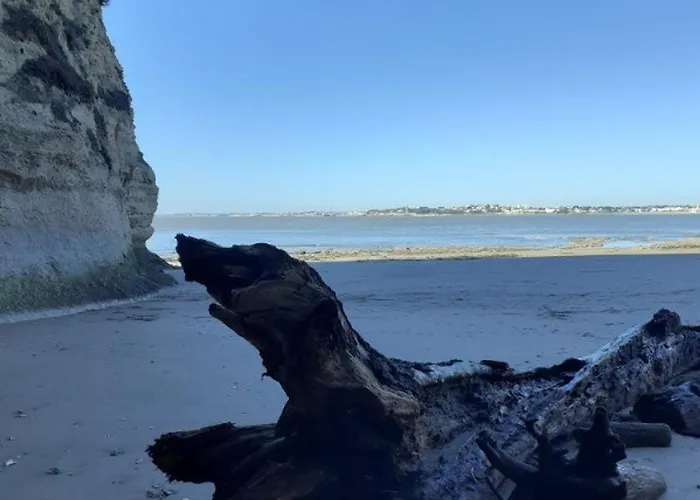 Appartement Rénové à 150m De La Avec Vélos Et Animaux Acceptés - Fr-1-494-199 *