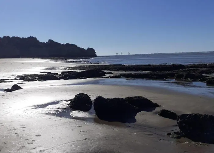 Appartement Rénové à 150m De La Avec Vélos Et Animaux Acceptés - Fr-1-494-199 Saint-Georges-de-Didonne