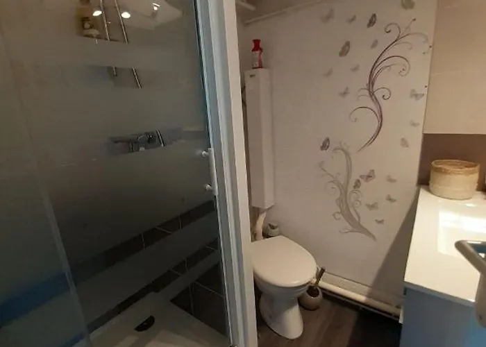 Rénové à 150m De La Avec Vélos Et Animaux Acceptés - Fr-1-494-199 Saint-Georges-de-Didonne